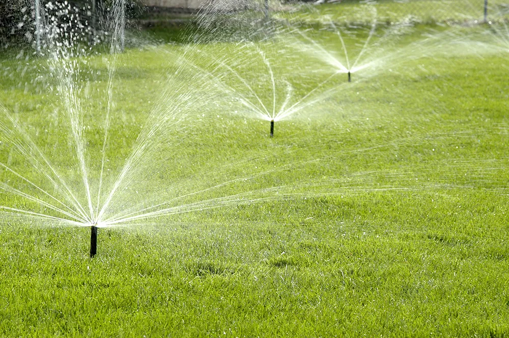 Three rotor sprinkler heads spraying water over a green lawn